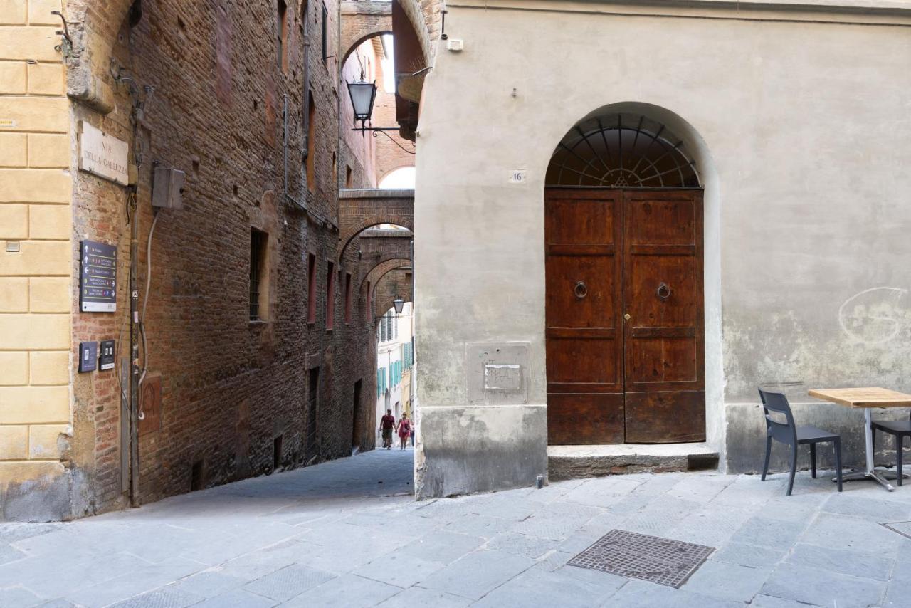 L'Azure Di Siena Lägenhet Exteriör bild